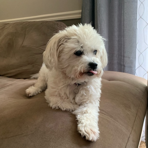 Meet your Posher, Alyssa - Picture 1 of 1